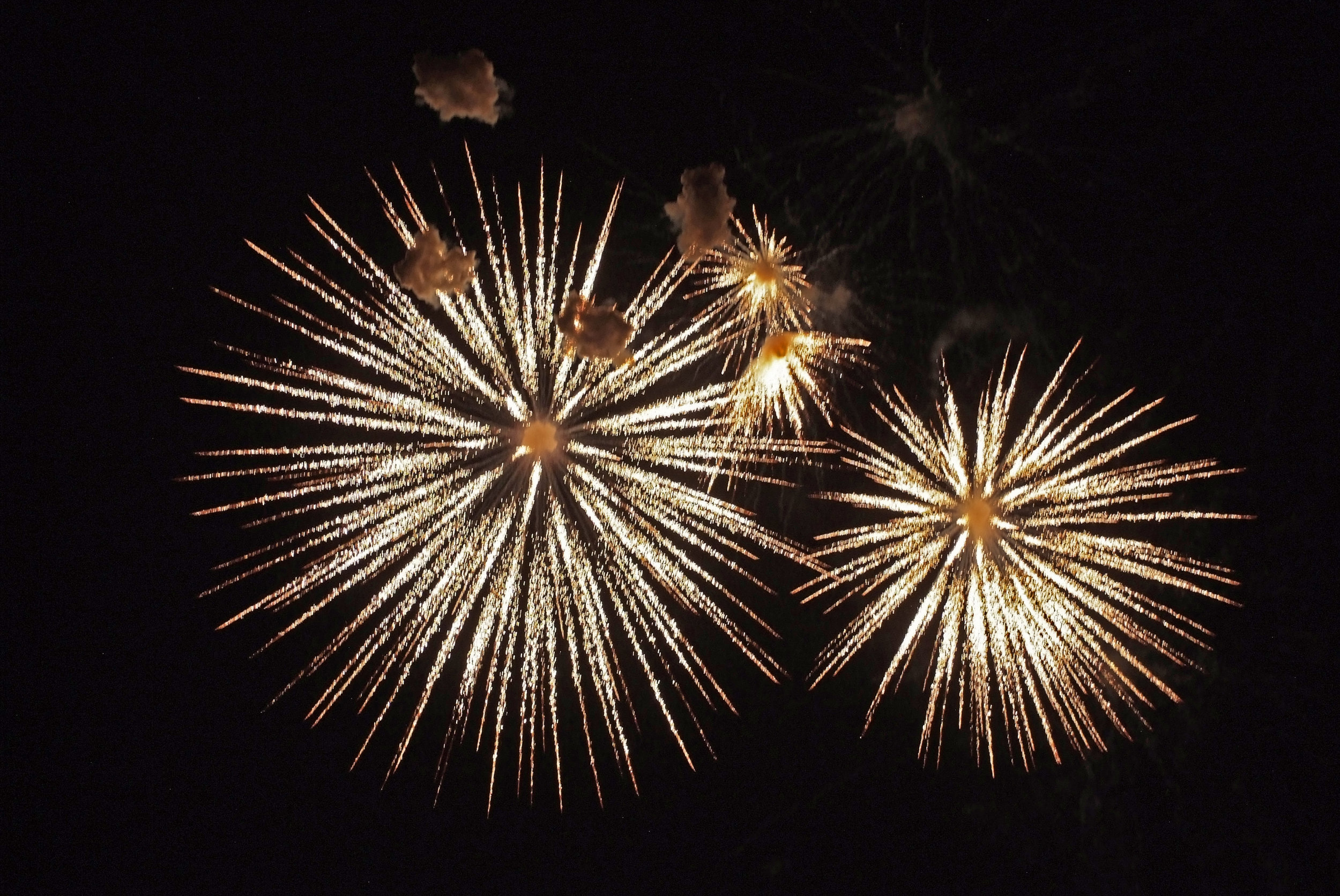 Two fireworks exploding in the night sky.
