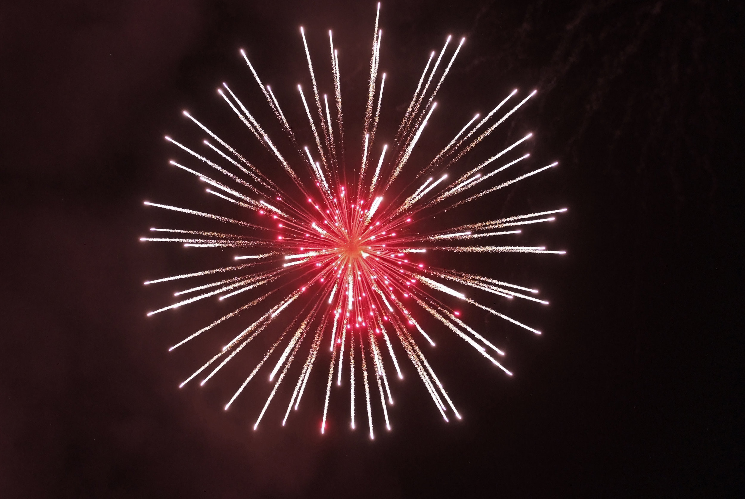 One red firework exploding in the night sky.