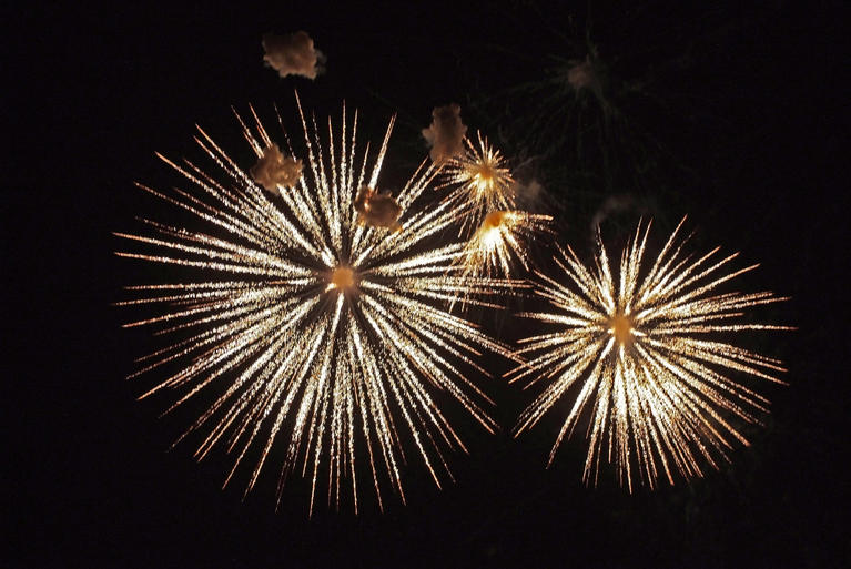 Two fireworks exploding in the sky. 